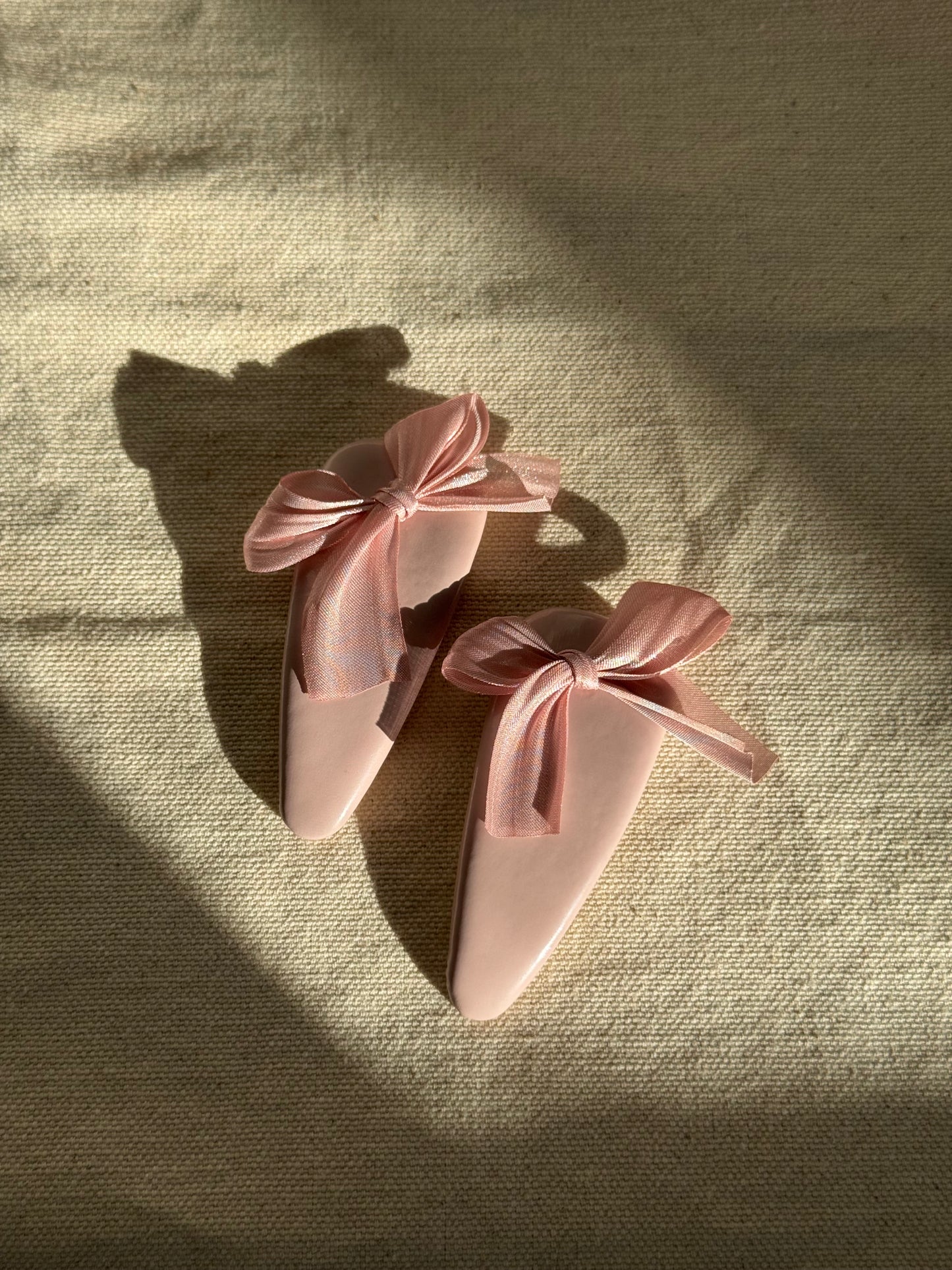 HAIR CLIP SNAP ✨